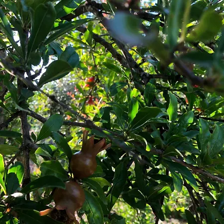 Apartamento Beautiful *