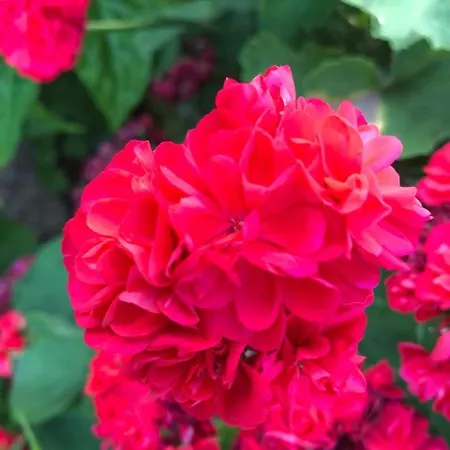 아파트 Beautiful *
