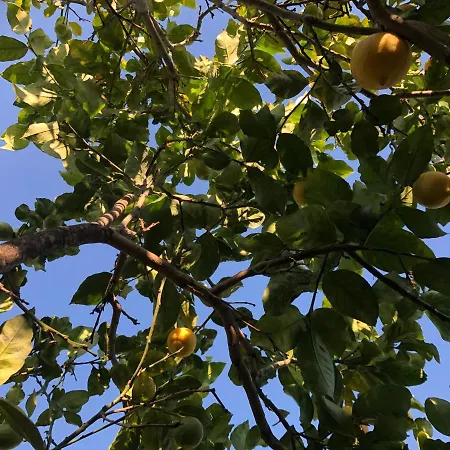 Apartamento Beautiful