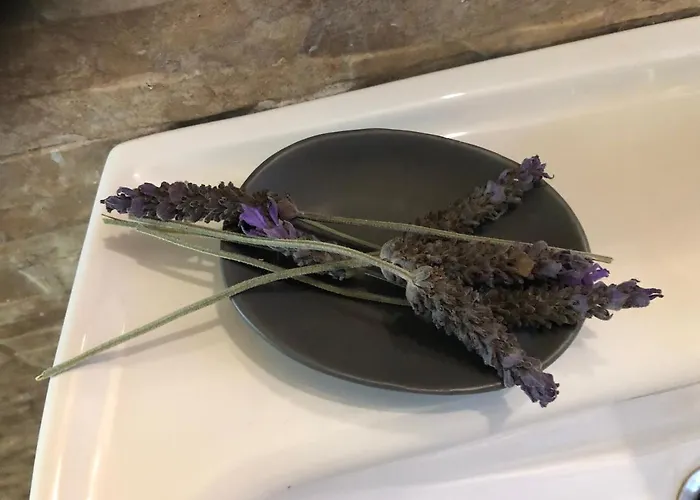 Beautiful Apartamento *