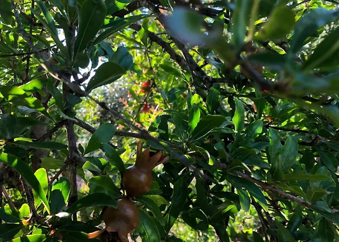 Apartamento Beautiful *