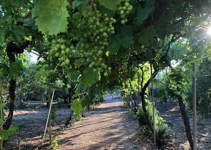 Beautiful Apartamento *