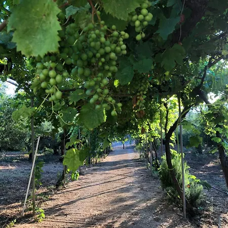 Beautiful Apartman *