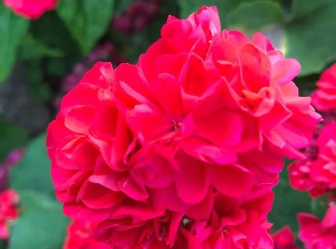 Lejlighed Beautiful *