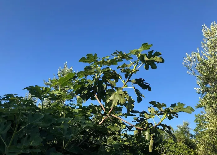 Lejlighed Beautiful Filiatrá