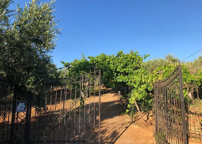 Beautiful * Filiatrá