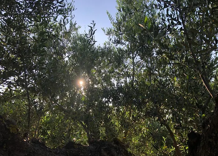 Beautiful Lejlighed *